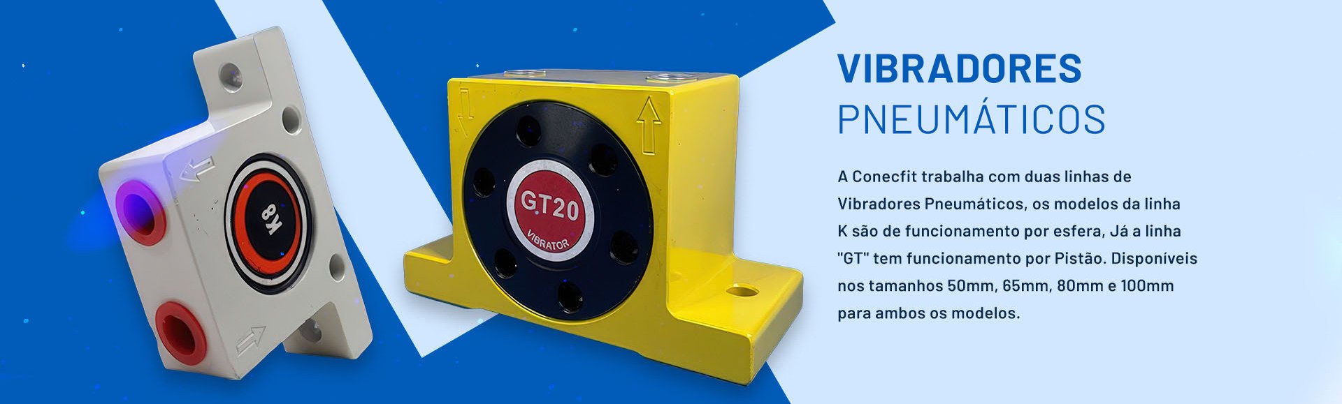 V. PNEUM